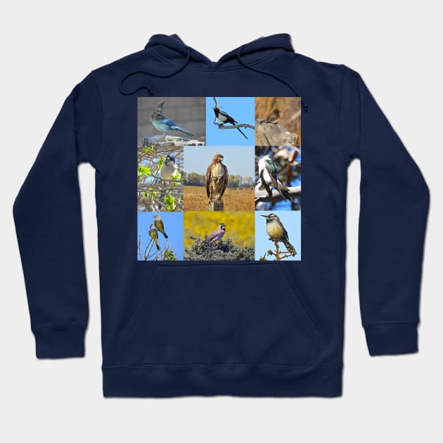 Wild Birds of California, wildlife, nature Hoodie by sandyo2ly